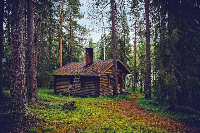 Maximizing Sales: A Guide to Sheparton Investment Property with Top Agent