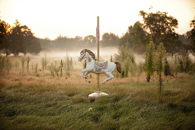 horse, horse lead rope