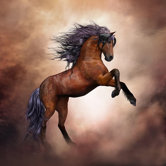 horse, horse lead rope, horses