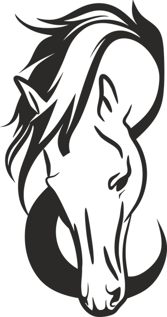horse, horse lead rope, horses