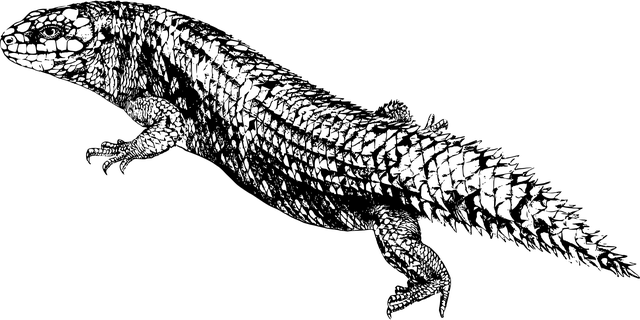npressfetimg-1506.png