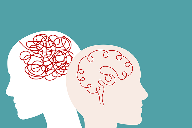 Open Arms Psychology: Transformative Mental Health Support with Evolving Minds Counselling