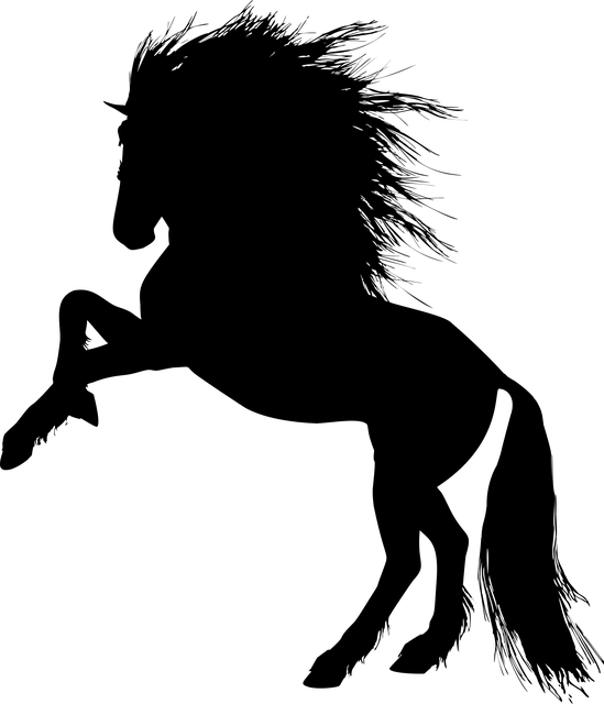 npressfetimg-2323.png