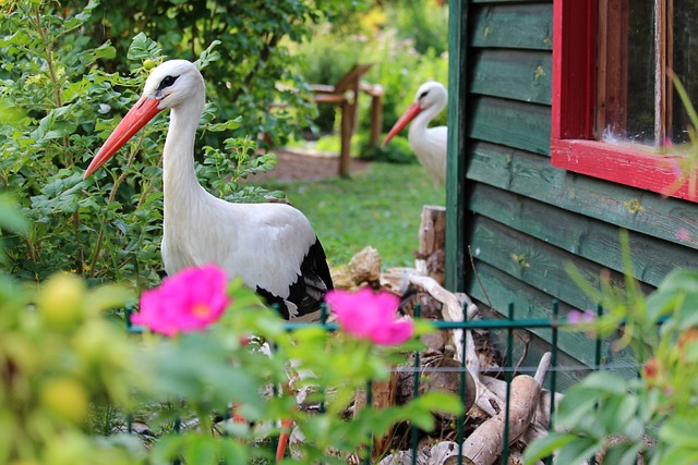 sheds, shed maufacturer