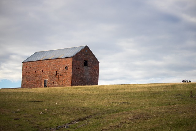 sheds, shed maufacturer