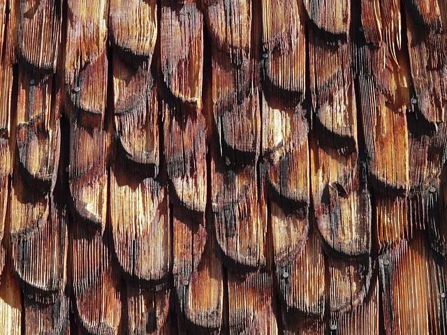 Steeline colorbond roofing