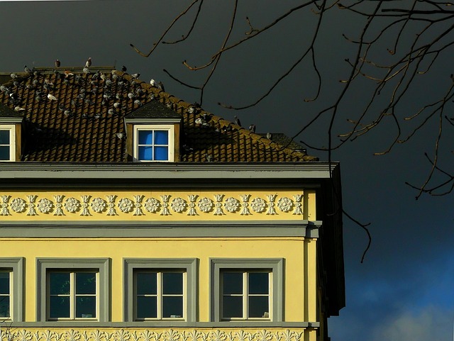 Steeline colorbond roofing
