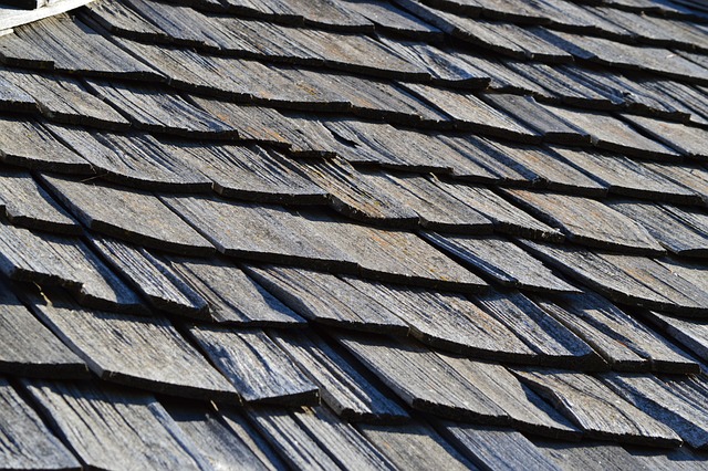 Steeline colorbond roofing