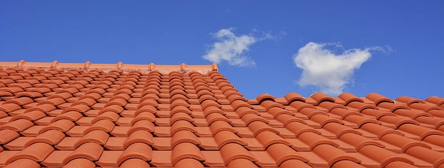 Steeline colorbond roofing