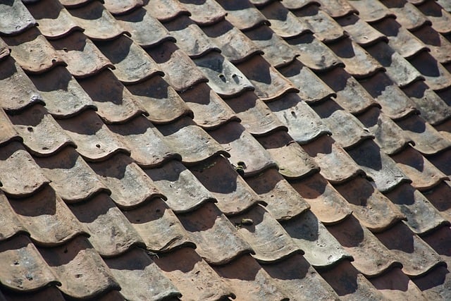 Steeline colorbond roofing