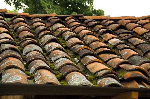 Steeline colorbond roofing
