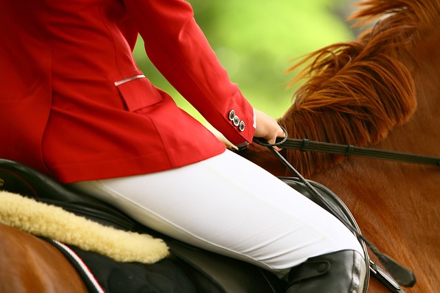 Mastering Horse Training: Cam’s Cords and Strong Lead Rope Techniques