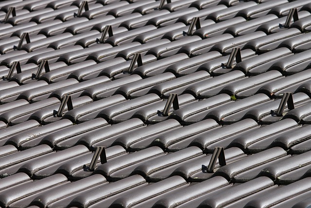 Steeline Bendigo Leads in Eco-Friendly Polycarbonate Roofing Solutions