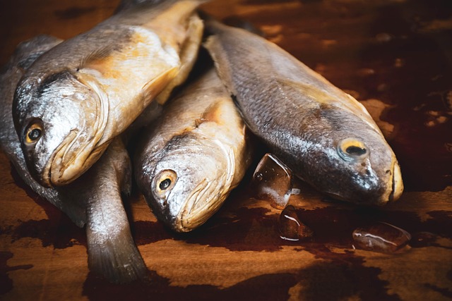 Master River Trout Fishing: Unravel Behavior for Success