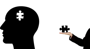 npressfetimg-4655.png