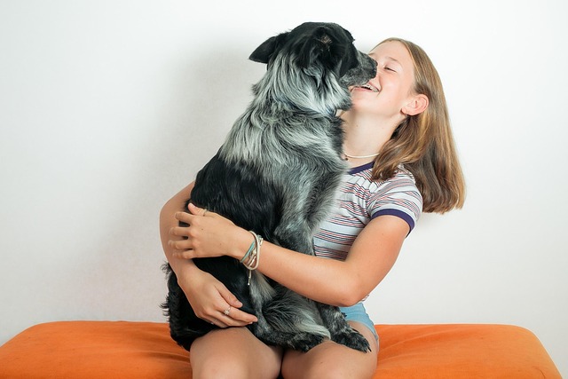 Paw4Paws Guide: Summer & Winter Coat Care for Dogs