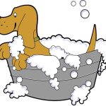 Paw4Paws Dog Groomers Wodonga: Cage-Free Experience for Your Furry Friend