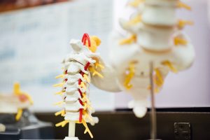 chiropractor-640x480-10907470.jpeg