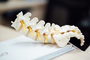 chiropractor-640x480-35715271.jpeg