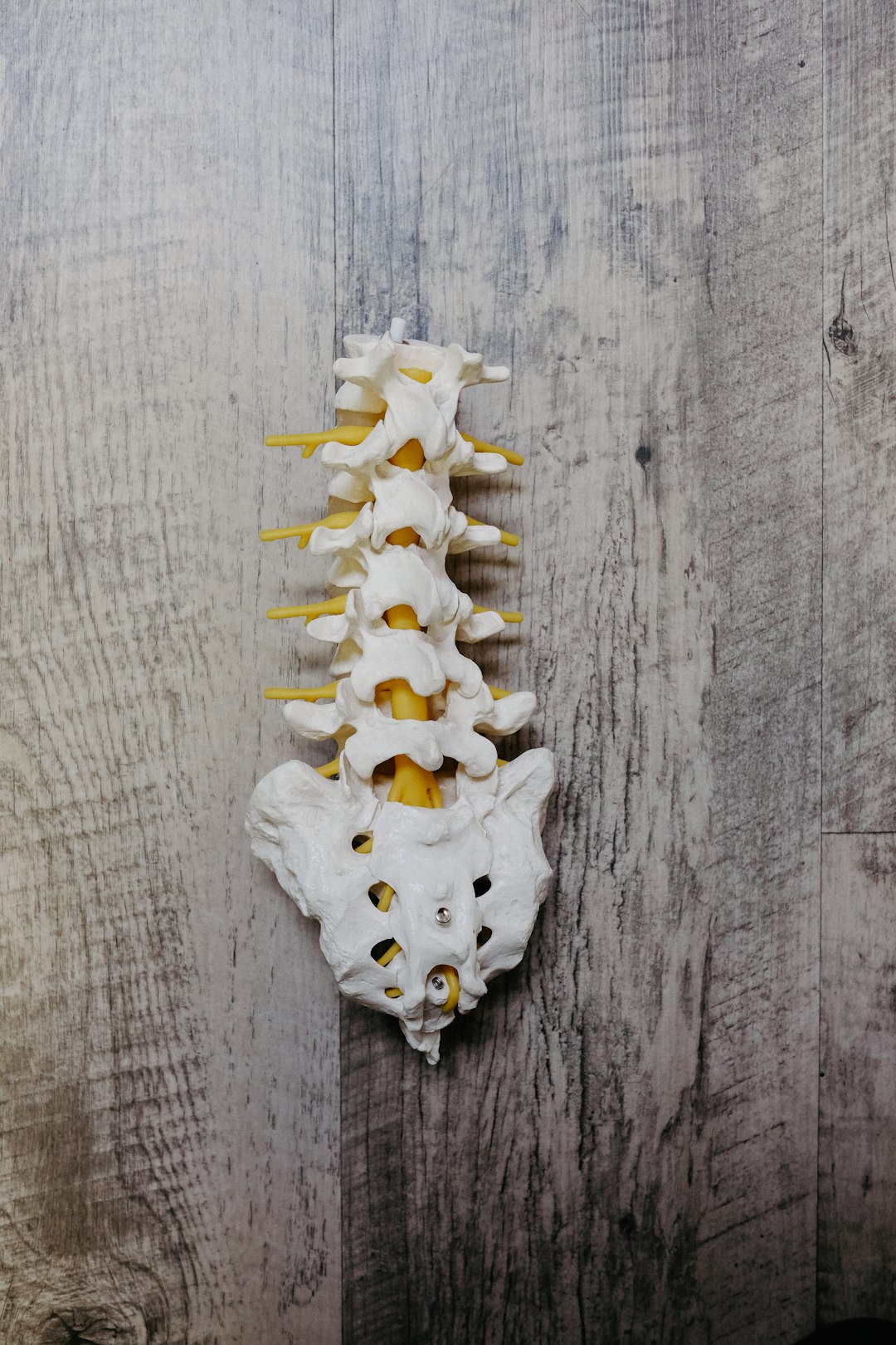 chiropractor, 