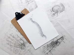 chiropractor-640x480-91834765.jpeg