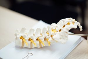 chiropractor-640x480-96352597.jpeg