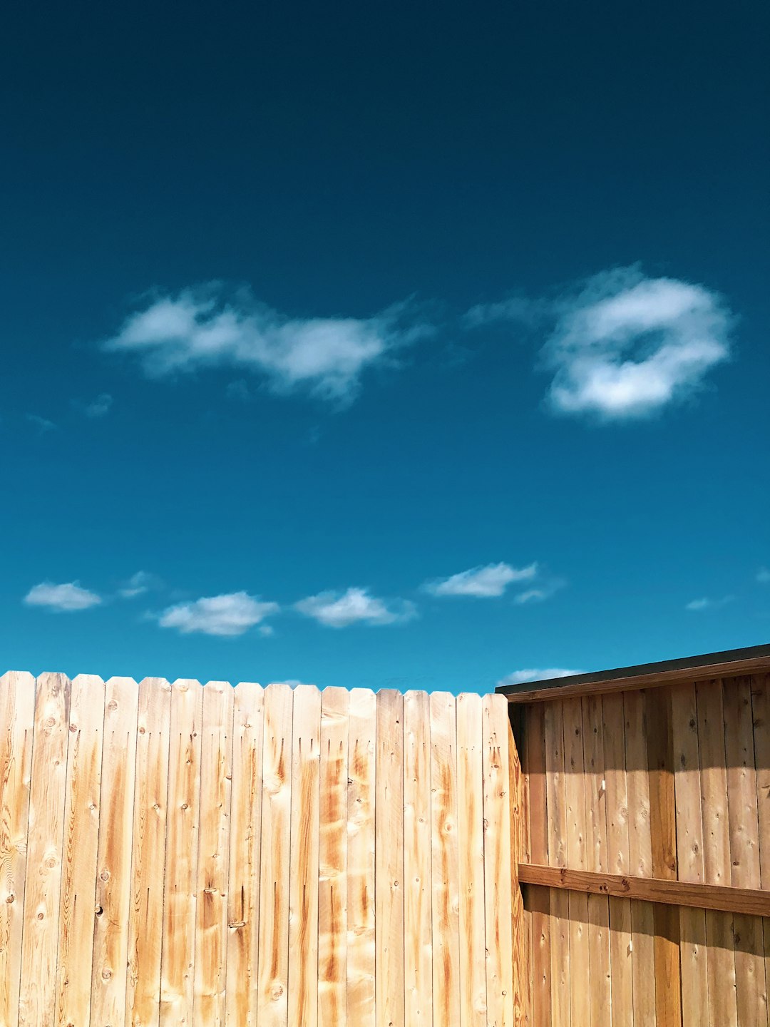fence
