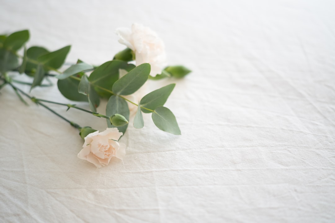 funeral