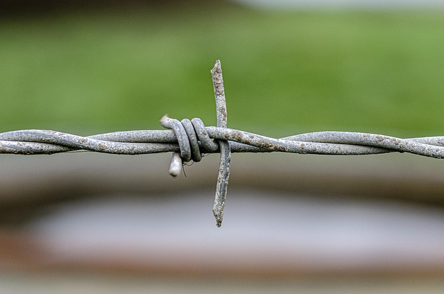Steeline Roofing Centre: Long-Lasting Fencing Supplies for Bendigo Homes