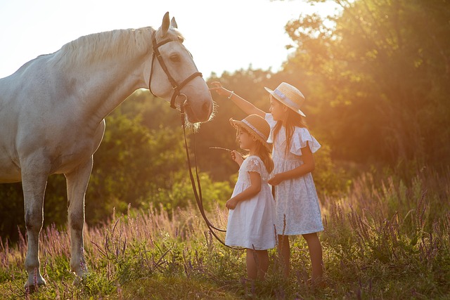 Australian-Made Horse Lead Ropes: Quality Craftsmanship for Durability