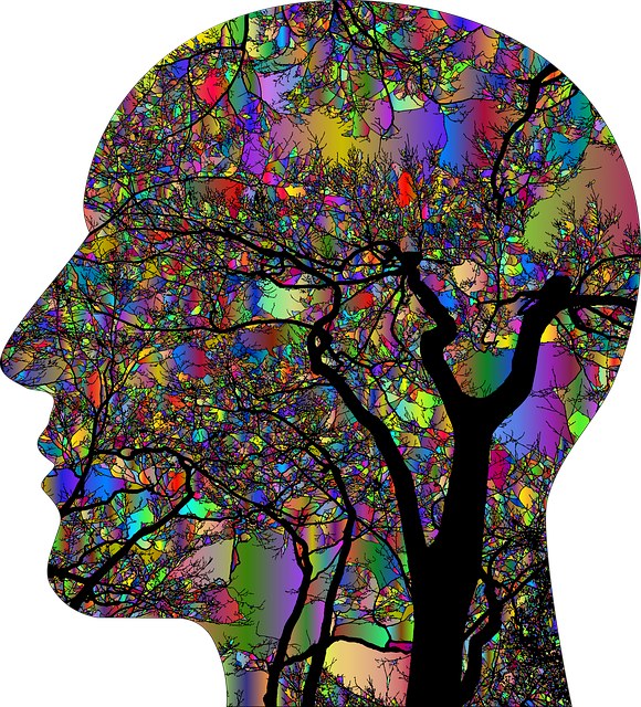 Evolving Minds Revolutionize Counselling in Menai NSW