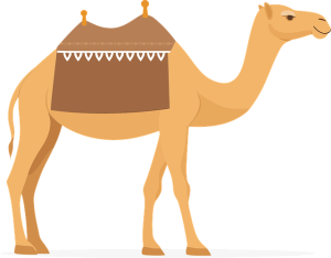 npressfetimg-1218.png