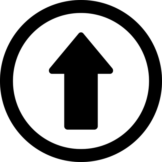 npressfetimg-1317.png