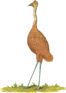 npressfetimg-1375.png