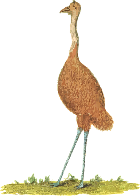 npressfetimg-1375.png