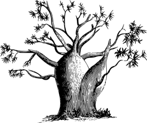 npressfetimg-1603.png