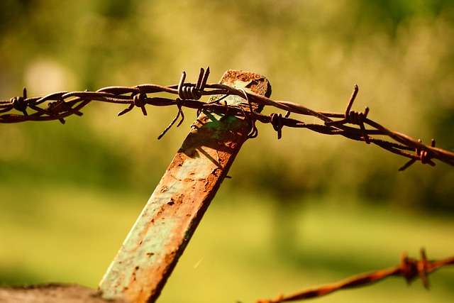 Boost Property Safety with Steeline’s Bendigo Fencing Solutions