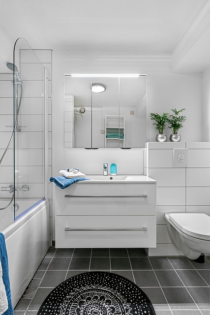 Modern Bath Transformations: Showers, Vanities, and Plumbing Expertise