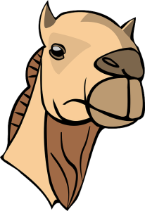 npressfetimg-1908.png