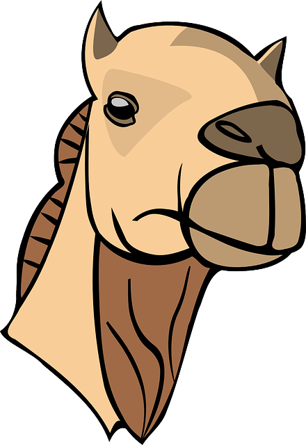 npressfetimg-1908.png