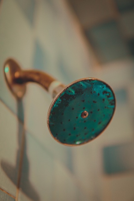 Elevate Your Space: Stylish Showers at Jones Plumbing Plus