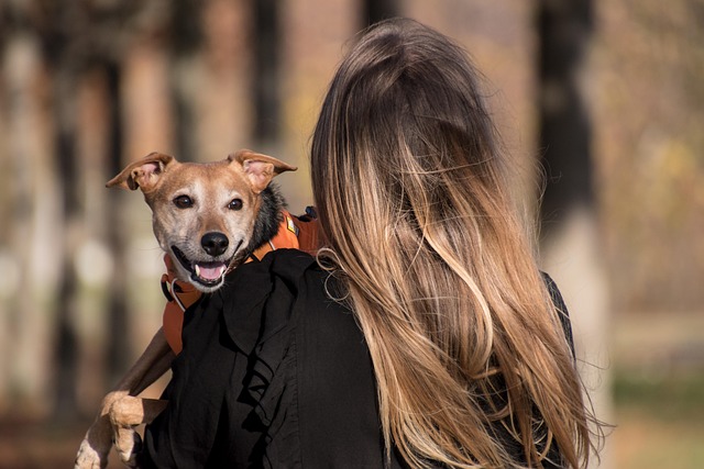 Albury Dog Grooming: A Complete Guide for Healthy Coat and Ear Care