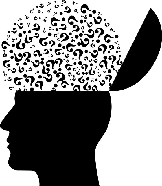 npressfetimg-2833.png