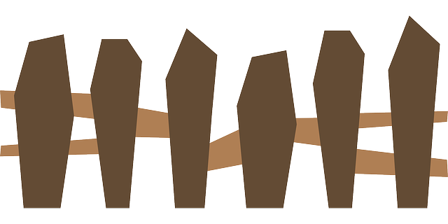 npressfetimg-2885.png