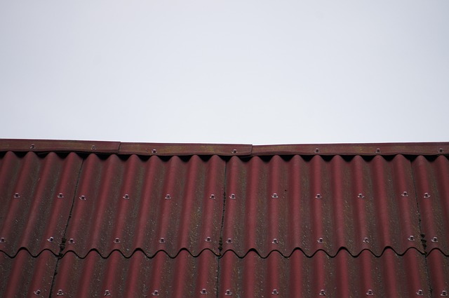 Steeline Roofing Centre: Building Durable, Long-Lasting Sheds