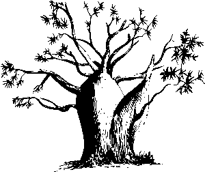 npressfetimg-3123.png