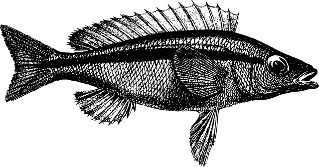 npressfetimg-3125.png