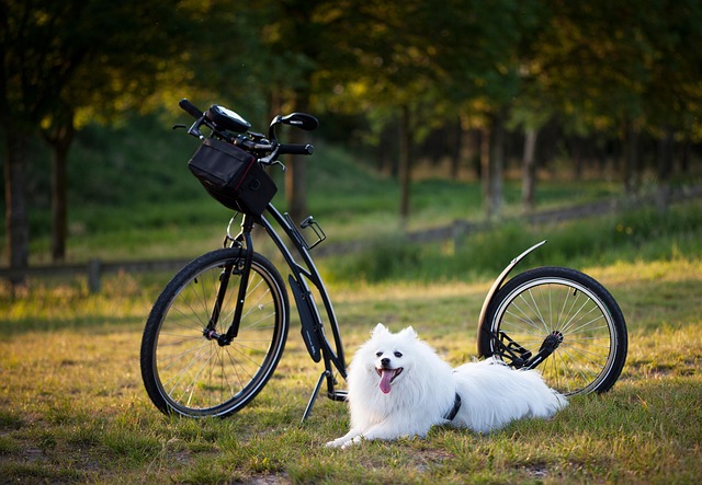 Uncover Top Local Businesses in Cambellfield, Vic: Your Ultimate Directory Guide