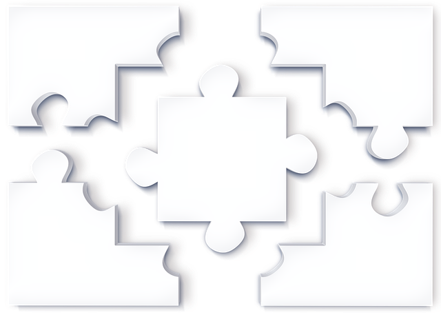 Unleash Business Growth: Canberra’s Workshop on Market Analysis Techniques