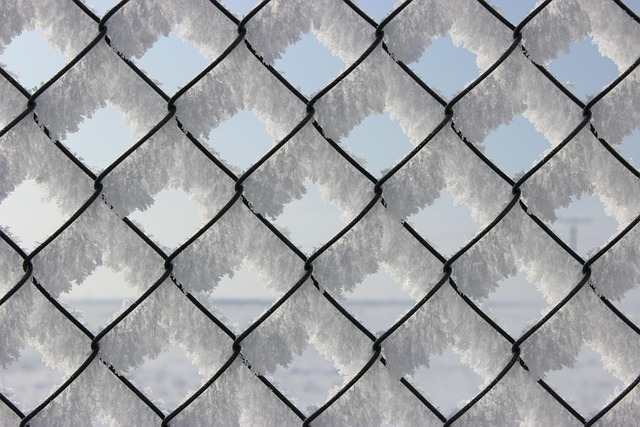 npressfetimg-3356.png